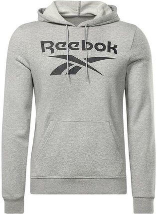 Men's Hoodie Reebok FT BIG LOGO OTH HZ8786 Grey (S2025548