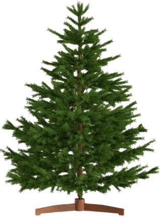 Casaria Sztuczna choinka FROST, 180 cm, zielona