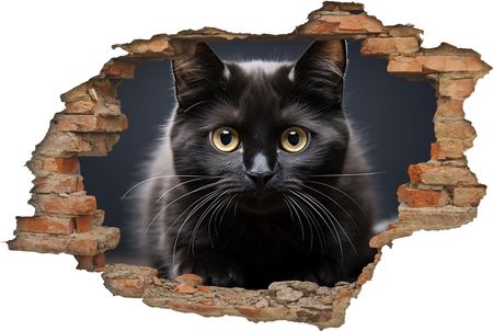 Centrumnaklejek 2M Studio Dziura W Ścianie 3D Nr 175 Czarny Kotek Dziura W Ścianie Z Cegieł Naklejka 3D