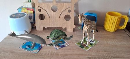Artyzan Smarty Interaktywne Karty Zwierzęta Podwodny Świat - zdjęcie 3
