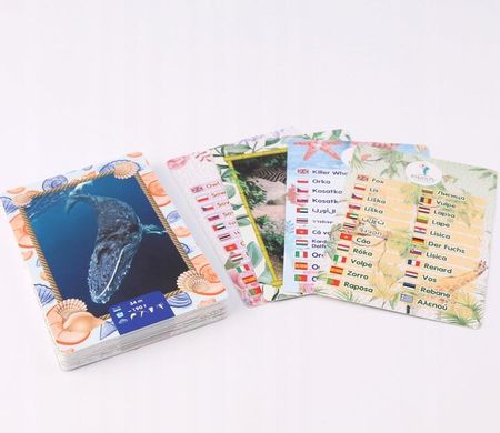 Artyzan Smarty Interaktywne Karty Zwierzęta Podwodny Świat - zdjęcie 5