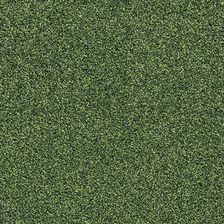 Zdjęcie Wykładzina Dywanowa E-Force Zielony 33M X 4M - Grodzisk Mazowiecki