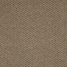 Zdjęcie Wykładzina Dywanowa Loopus Beżowy 35M X 4M - Pyzdry