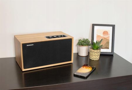Thomson Głośnik mobilny Cosy WS502 Dąb - zdjęcie 3