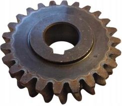 Integro Koło Zębate Ślimacznica Przekładni Wirnika Odśnieżarki 19mm /66mm