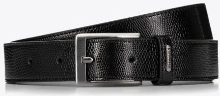 Pasek męski Wittchen ze skóry naturalnej 99-8M-108