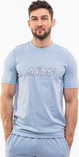 Zdjęcie adidas Koszulka Męska Illustrated Linear Graphic Jasnoniebieska Is2867 - Żychlin