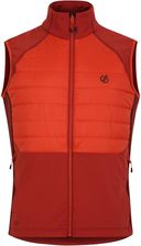 Zdjęcie Dare 2B Bezrękawnik Męski Descending - Poniatowa