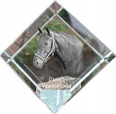 Art-Dog Warmblood Duński Kryształowa Kostka Ze Zdjęciem Konia Zdjęcie Konia W Kr