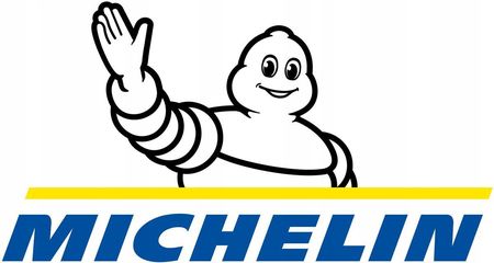 Michelin Pilot Sport Cup 2 R 285/30R20 99Y XL FR - zdjęcie 2