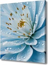 Smartlife24Pl Obraz Na Płótnie Canvas Do Salonu Biura Kwiat I Poranna Rosa Makro 30x40cm