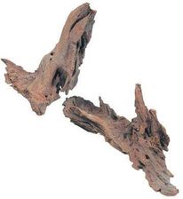 Zdjęcie Korzeń Mangrowca S 15-25cm. - Brzeszcze