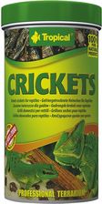 Zdjęcie Tropical Crickets 100ml - Poręba