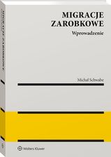 Zdjęcie Migracje zarobkowe. Wprowadzenie do analizy - Radom