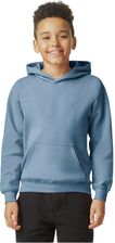 Zdjęcie Bluza Dziecięca/dziecięca Softstyle Plain Fleece Midweight Hoodie | 50% z kodem SPORT50 na trzeci produkt z wybranej oferty Decathlon - Dąbrowa Tarnowska