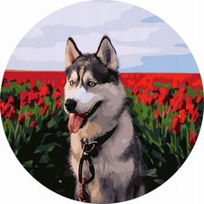 Zdjęcie Twoje Hobby Malowanie Po Numerach 40X40 Na Okrągłej Ramie - Wadowice