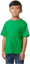 Zdjęcie Koszulka Dziecięca/Dziecięca Softstyle Midweight T-Shirt - Baborów