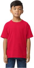 Zdjęcie Koszulka Dziecięca/Dziecięca Softstyle Midweight T-Shirt - Baborów