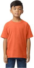 Zdjęcie Koszulka Dziecięca/Dziecięca Softstyle Midweight T-Shirt - Baborów