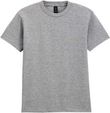 Zdjęcie Koszulka Dziecięca/Dziecięca Softstyle Midweight T-Shirt - Lewin Brzeski