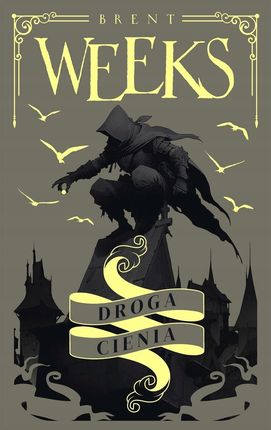 Droga Cienia. Anioł Nocy. Tom 1, Brent Weeks, NOWA