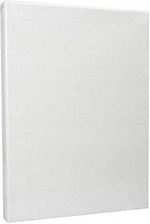 Zdjęcie Panon Podobrazie Malarskie Bawełniane 30X40Cm Ii Gatunek - Września