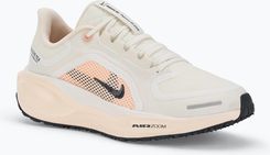 Nike Pegasus 41 Gore Tex Sail Guava Ice Crimson Tint Anthracite