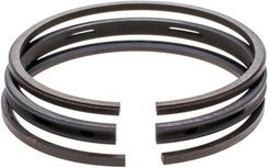 Zdjęcie Cedrus Parts Pierścienie Tłoka B&S /66.67Mm/ 8R55-22 - Poznań