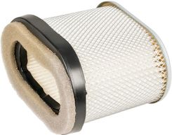 Zdjęcie Cedrus Parts Filtr Powietrza B&S Quantum Nowy Owalny 8R01-39 - Poznań