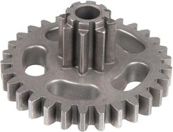 Zdjęcie Cedrus Parts Koło Zębate Odśnieżarka Cedsb56 0301012 - Kościan