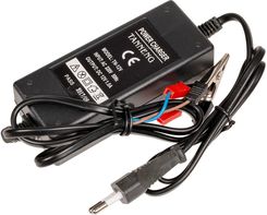 Zdjęcie Cedrus Parts Ładowarka Kosiarek Kcl21Sdp Acc0167 - Wielichowo