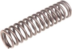 Zdjęcie Cedrus Parts Sprężyna Mała Stopa St01 070571 - Kościan