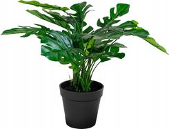Zdjęcie Monstera 45CM 9501040 - Tłuszcz