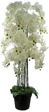 Botanik Realistyczne sztuczne rośliny orchidei w pełni doniczkowe REALISTICORCHIDFULLYPOTTEDPLANTS