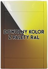 Drzwiczki do kasety gniazda Retraflex II - dowolny kolor RAL