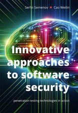 Innovative approaches to software security. Penetration testing technologies in action