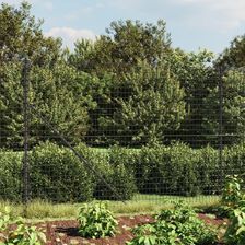 Dkd Home Decor Ogrodzenie Z Ogniw Łańcucha Antracyt 1,8X25m Stal Ocynkowana 459154205
