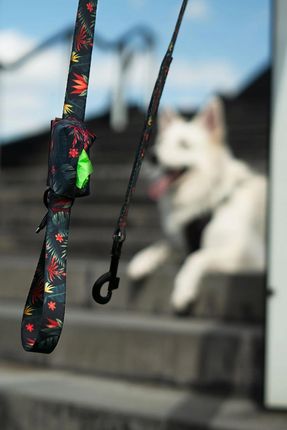 Smycz Dla Psa Tradycyjna 1,8 m Szerokość: 20 mm uKory Zielona Liście Wzór 1772324687 - zdjęcie 4