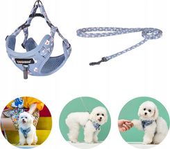 Zdjęcie Dogness Zestaw Spacerowy Smycz I Szelki Dla Psa 1,5m 35kg 1772823629 - Wilamowice
