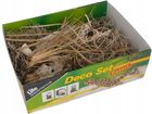 Lucky Reptile Life Experience LDS-01 Nano Dry Terrarium zestaw dekoracyjny z naturalnych materiałów o tematyce pustyni