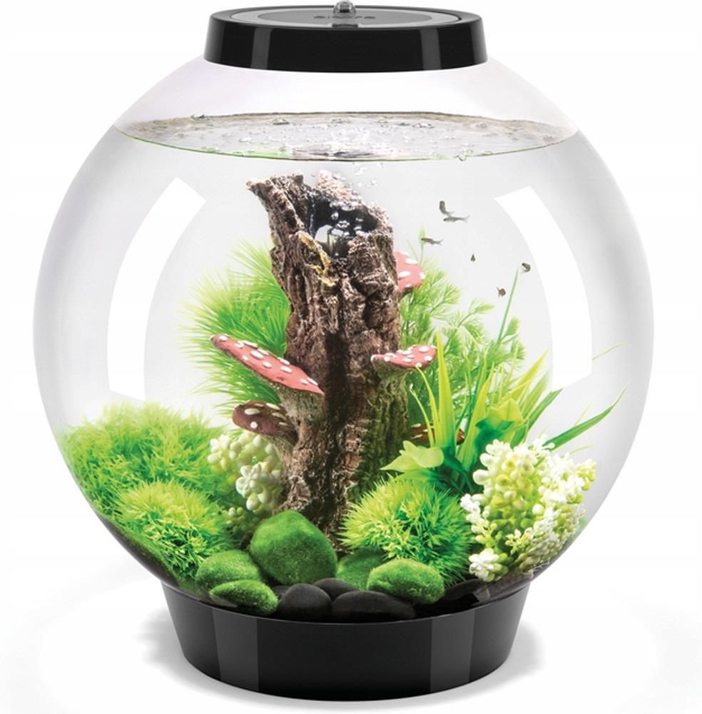 BiOrb Classic 30 MCR Aquarium Schwarz - 30 Liter Rundes Acryl Aquarium Komplettset