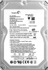 Seagate Barracuda Es.2 250Gb 7.2K 32Mb Sata Ii 3.5'' (St3250310Ns)