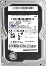 Ibm 250Gb 7.2K 8Mb Sata Ii 3.5'' Hd254Gj (45K0408)