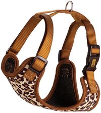 Zdjęcie Dingo Szelki Bezuciskowe Xs Leopard - Bieruń