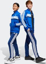 Zdjęcie adidas Dres Dziecięcy Tibeiro Kolorowe - Radków