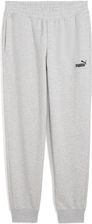 Zdjęcie Puma Damskie Spodnie Dresowe Z Małym Logo No.1 Ess Light Gray Heather - Tłuszcz