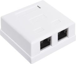A-LAN GNIAZDO NATYNKOWE FTP KAT 5E 2XRJ45 ZINT (GN004)