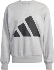 Bluza męska adidas ESSENTIALS BIG LOGO szara JE8952