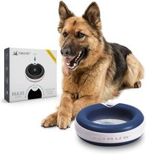 Torus Pet Maxi Miska Filtrująca Na Wodę Niebieska 2 Litry Miska Do Domu I Podróży Automatyczne Wypełnianie Przenośna Bez Rozlania Antybakteryjna TR2LB
