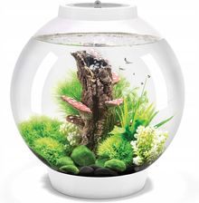 Biorb Classic 30 Led Biały zestaw akwarium 30l 1778488806